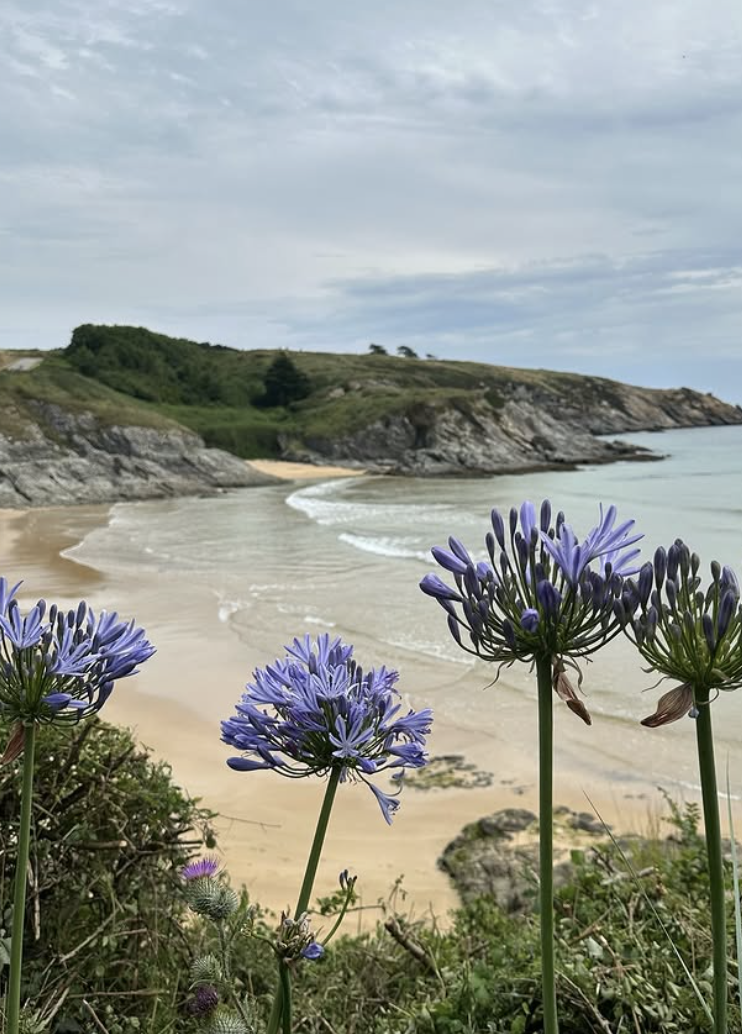 A Jonathon Hawes Guide to Southern France