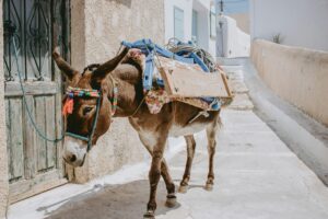 A Jonathon Hawes Guide to Greece