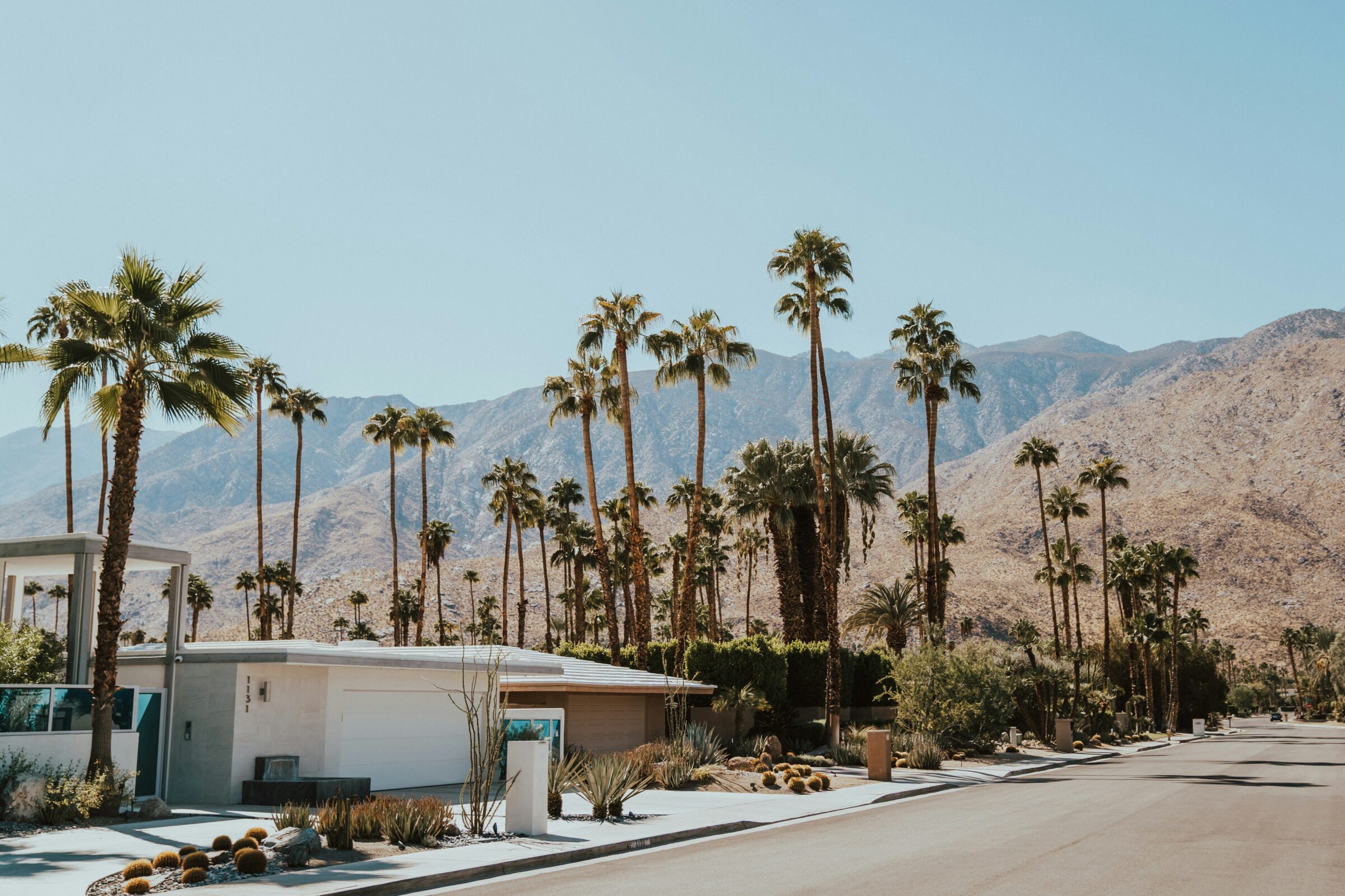 cody-board-quuG8oNM61A-unsplash